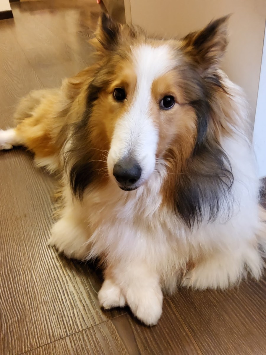 A letter to my daughter