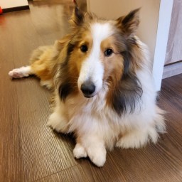 A letter to my daughter